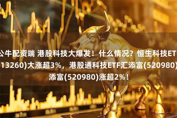 公牛配资端 港股科技大爆发！什么情况？恒生科技ETF汇添富(513260)大涨超3%，港股通科技ETF汇添富(520980)涨超2%！