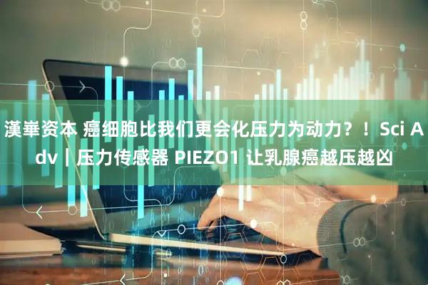 漢崋资本 癌细胞比我们更会化压力为动力？！Sci Adv｜压力传感器 PIEZO1 让乳腺癌越压越凶