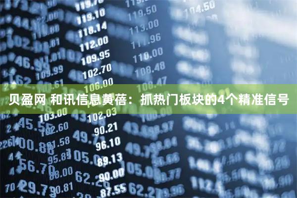 贝盈网 和讯信息黄蓓：抓热门板块的4个精准信号